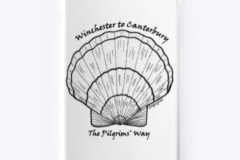 Scallop-Shell-iPhone-Case