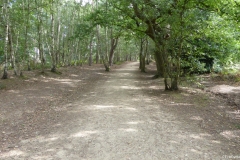 PW05-Guildford-to-Box-Hill-Stepping-Stones-30