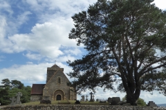 PW05-Guildford-to-Box-Hill-Stepping-Stones-35