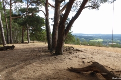 PW05-Guildford-to-Box-Hill-Stepping-Stones-41