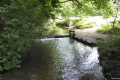 PW05-Guildford-to-Box-Hill-Stepping-Stones-48