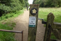 PW05-Guildford-to-Box-Hill-Stepping-Stones-51