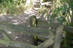 PW05-Guildford-to-Box-Hill-Stepping-Stones-59