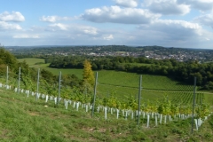 PW05-Guildford-to-Box-Hill-Stepping-Stones-76