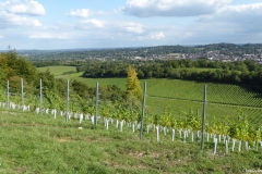 PW05-Guildford-to-Box-Hill-Stepping-Stones-78