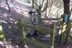 PW06-Box-Hill-Stepping-Stones-to-Merstham-17