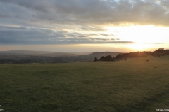 PW06-Box-Hill-Stepping-Stones-to-Merstham-28