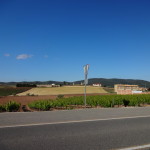 Fields near Cirauqui
