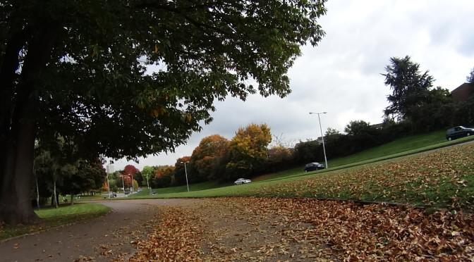 Mid-Autumn ride from Bracknell to Windsor