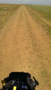 Dirt road littered with stones.