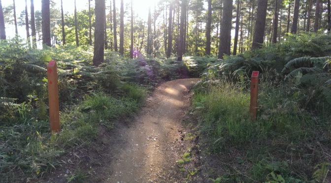 Trilha Vermelha, Mountain Biking na Floresta de Swinley, Bracknell, Reino Unido.
