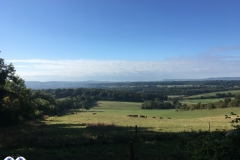 PW04-Farnham-to-Guildford-1