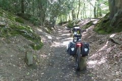 PW04-Farnham-to-Guildford-45
