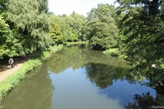 PW05-Guildford-to-Box-Hill-Stepping-Stones-10