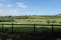 PW05-Guildford-to-Box-Hill-Stepping-Stones-25