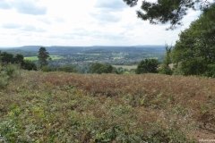 PW05-Guildford-to-Box-Hill-Stepping-Stones-33