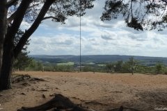 PW05-Guildford-to-Box-Hill-Stepping-Stones-37