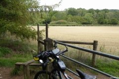 PW05-Guildford-to-Box-Hill-Stepping-Stones-45