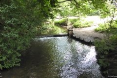 PW05-Guildford-to-Box-Hill-Stepping-Stones-48