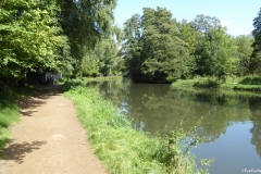 PW05-Guildford-to-Box-Hill-Stepping-Stones-5