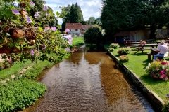 PW05-Guildford-to-Box-Hill-Stepping-Stones-54