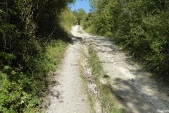 PW05-Guildford-to-Box-Hill-Stepping-Stones-61