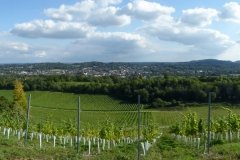 PW05-Guildford-to-Box-Hill-Stepping-Stones-74