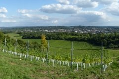 PW05-Guildford-to-Box-Hill-Stepping-Stones-75