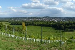 PW05-Guildford-to-Box-Hill-Stepping-Stones-77