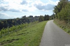 PW05-Guildford-to-Box-Hill-Stepping-Stones-81