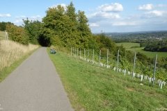 PW05-Guildford-to-Box-Hill-Stepping-Stones-82