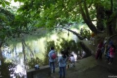 PW05-Guildford-to-Box-Hill-Stepping-Stones-90