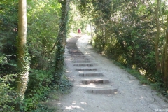 PW06-Box-Hill-Stepping-Stones-to-Merstham-10