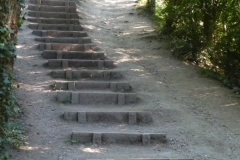 PW06-Box-Hill-Stepping-Stones-to-Merstham-11