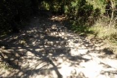 PW06-Box-Hill-Stepping-Stones-to-Merstham-12