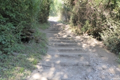PW06-Box-Hill-Stepping-Stones-to-Merstham-15