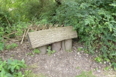 PW10-Wrotham-to-Peters-Village-10