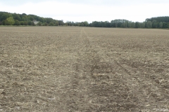 PW13-Lenham-to-Boughton-Aluph-10