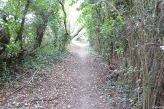 PW13-Lenham-to-Boughton-Aluph-18