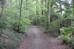 PW13-Lenham-to-Boughton-Aluph-7