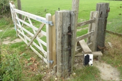 PW14-Boughton-Aluph-to-Chilham-1