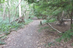 PW14-Boughton-Aluph-to-Chilham-4
