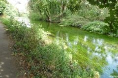 PW15-Chilham-to-Canterbury-16