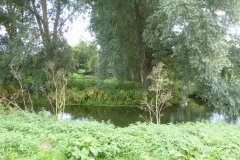 PW15-Chilham-to-Canterbury-22