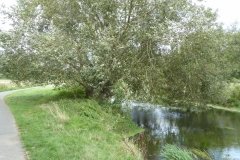 PW15-Chilham-to-Canterbury-24