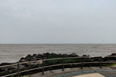 IMG_20210724_160535