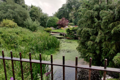 IMG_20210725_124425