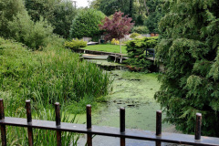 IMG_20210725_124431