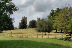 IMG_20210726_154843