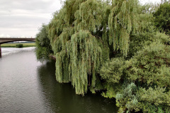 IMG_20210727_121927